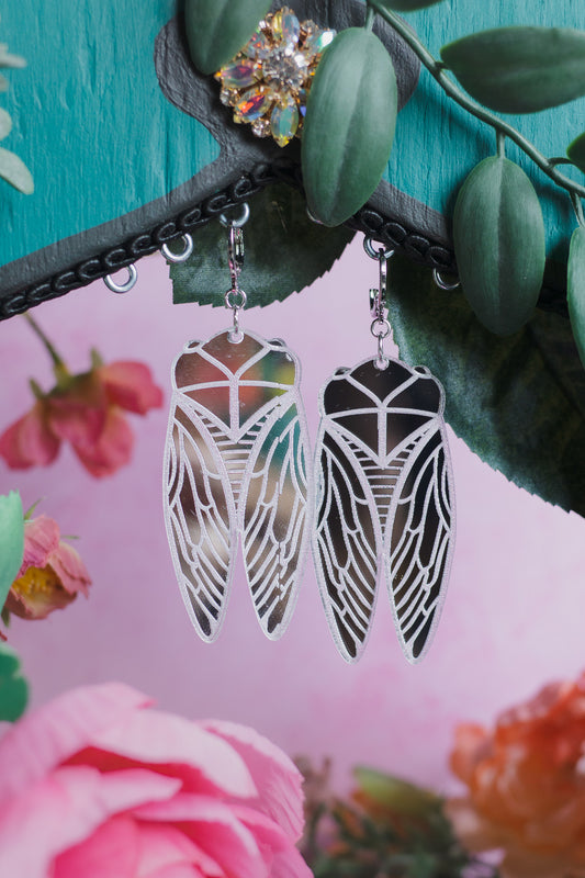 Cicadas Mirrors