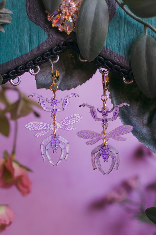 Dainty Praying Mantis